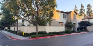 449 RIDGEWAY Gallery 1