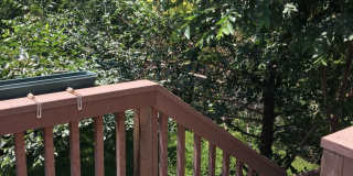 Adorable 2 bed/2 bath home in Southwest Longmont! Gallery 4