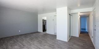 Icon on Stella Gallery 6