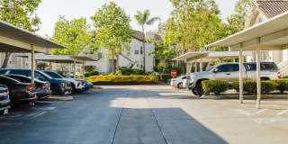 Legends of Rancho Belago Gallery 83