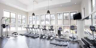 Dream Asheville Exchange Gallery 4