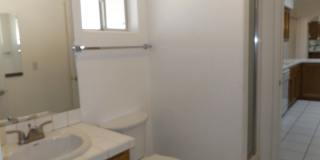 3 Bedroom - 2 Bath Pool Home Gallery 12