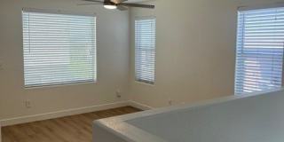 6940 Canary Ivy Way Gallery 8