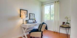 Beautifully Updated Condo in NoHO Gallery 11