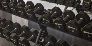 The Whitley Gallery 23