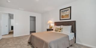 Eagle Chase Gallery 12