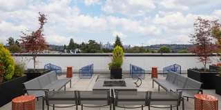 Chronicle Chronicle Gallery 4