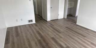 2345 Stace Street Gallery 10