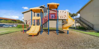 North Creek Dallas Gallery 2