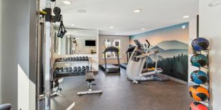 Sofi Lakeside Gallery 16