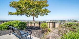 The Tides Apartments Gallery 18