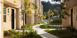 Lilian Frogtown Gallery 28