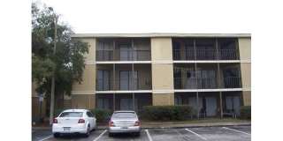 Nice condo with building Elevator, large patio Heard of Carrollwood Gallery 1