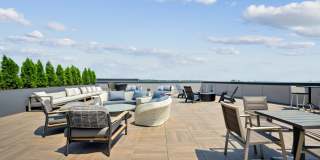 Piper Piper Gallery 17