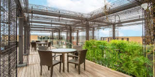 Mira First & M Gallery 30