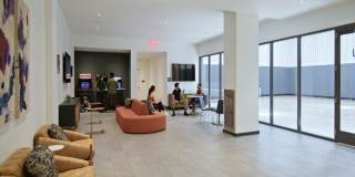 The Carson Gallery 47