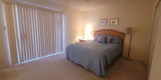 fc22 fc22 Gallery 12