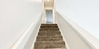 2552 W Bird St Gallery 19