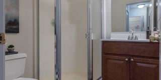 The Meadows Gallery 16