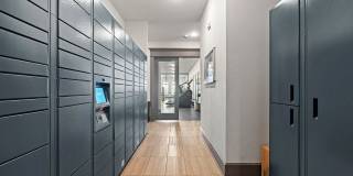 Water Oak Gallery 67