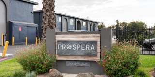 Prospera Village Gallery 31