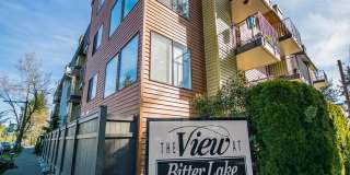 View at Bitter Lake Gallery 12