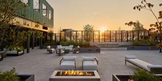 Hazel National Landing - Apartments & Townhomes Gallery 7