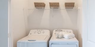 Prose Riviana Gallery 27
