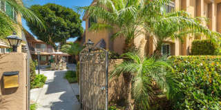 Elan The Palms Gallery 13