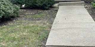 8500 Skokie Boulevard Gallery 1