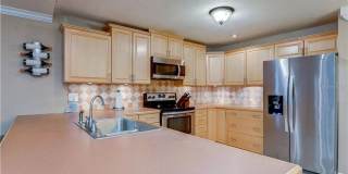 Spacious 4BR/2BA Carrollwood Meadows home. Gallery 10