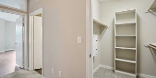 COLE COLE Gallery 42