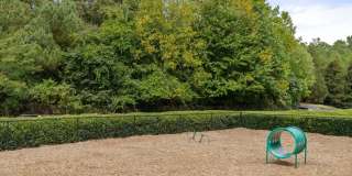 Sweetwater Creek Gallery 21