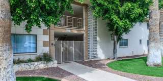 Park Royal Gallery 16