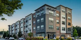 The Washingtons Gallery 20