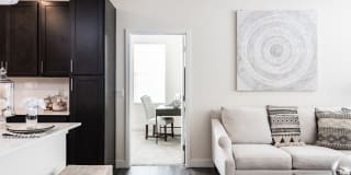 Altair At The Preserve Gallery 17