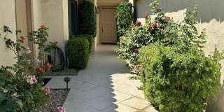 264 Avenida Del Sol Gallery 15