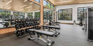 Halpine View Gallery 29