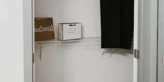 Tanager Tanager Gallery 24