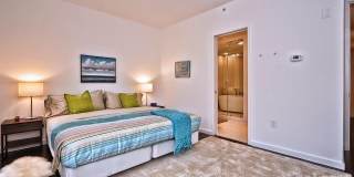 318 Viburnum Way Court Gallery 32