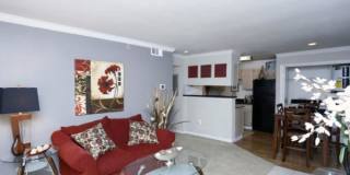 5055 Von Scheele Dr, #610 Gallery 4