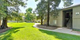 The Redwoods Apartments Gallery 12