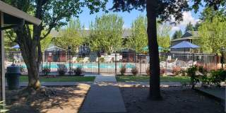 One Bedroom, One Bath - Special $1275.00 and Second Month Free! Gallery 71