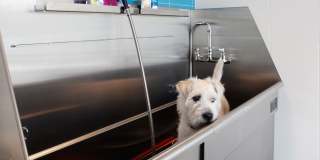 Avalon Esterra Park Gallery 36