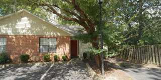 828 Ashlyn Forest Drive 828 Ashlyn Forest Drive Gallery 1