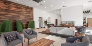 Beecher Terrace III Gallery 1