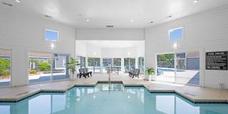 The Arboretum Gallery 36