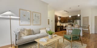 Bell Lake Forest Gallery 3