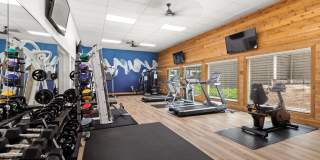 Avana Hamptons Gallery 4