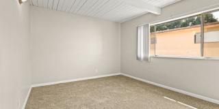 Coliseum Gallery 20